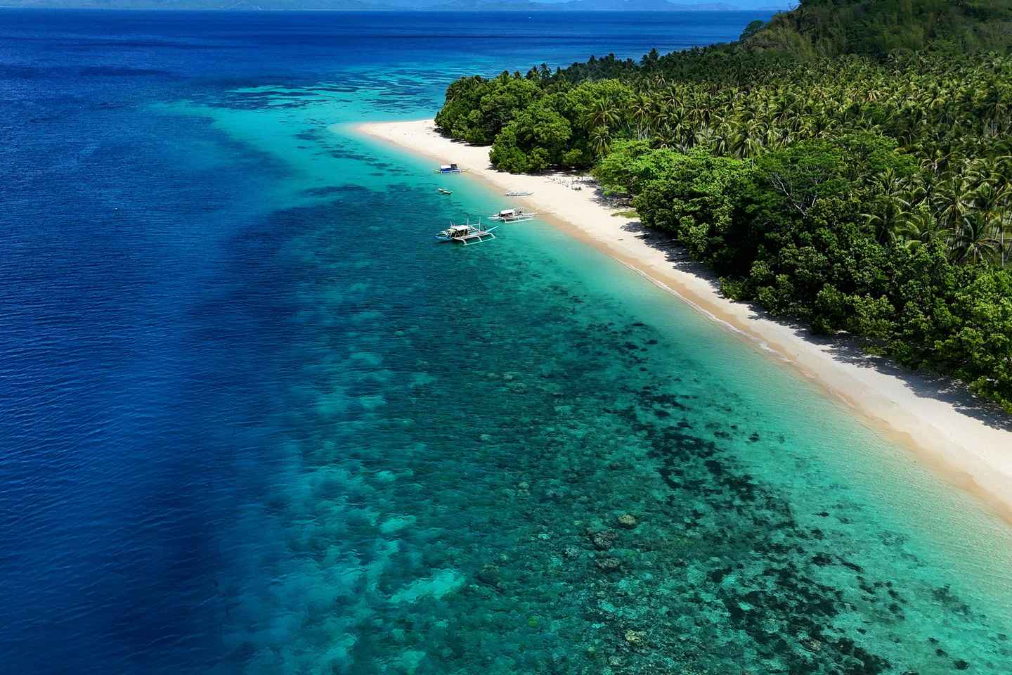 El Nido: Farm Tour, Snorkeling, Dinner, and Nipa Hut Stay