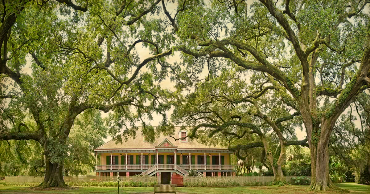 Louisiana Plantation Country HalfDay Tour GetYourGuide