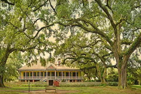 Louisiana Plantation Country Half-Day Tour