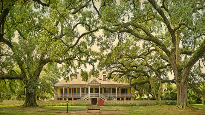 louisiana plantation country halfday tour