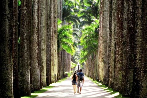 Rio de Janeiro: Botanical Garden Guided Tour & Parque Lage