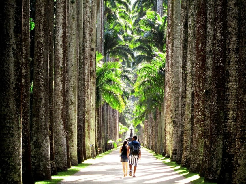 R O De Janeiro Visita Guiada Al Jard N Nico Y Parque Lage