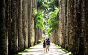 Rio de Janeiro: Botanical Garden Guided Tour & Parque Lage