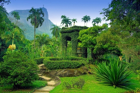Rio de Janeiro: rondleiding botanische tuin & Parque LageRio de Janeiro: rondleiding met botanische tuin