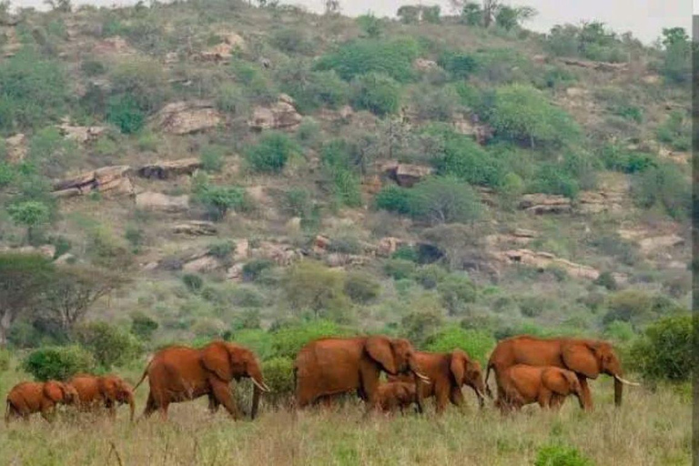 Mombasa/Diani: Taita Hills 2-Day Safari with Meals & Pickup