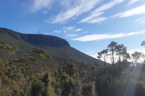 Hobart: Kunanyi/Mount Wellington Guided Hike