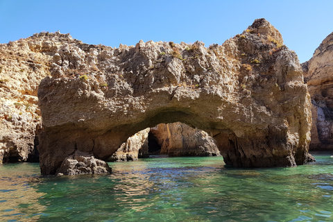 Lagos: Ponta da Piedade Grotto 1-uur durende tour met lokale gidsLagos: Ponta da Piedade-grottour met lokale gids