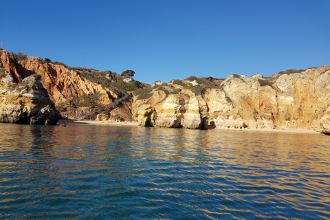 Lagos: Ponta da Piedade Grotto 1-timmes tur med lokal guideDelad gruppresa