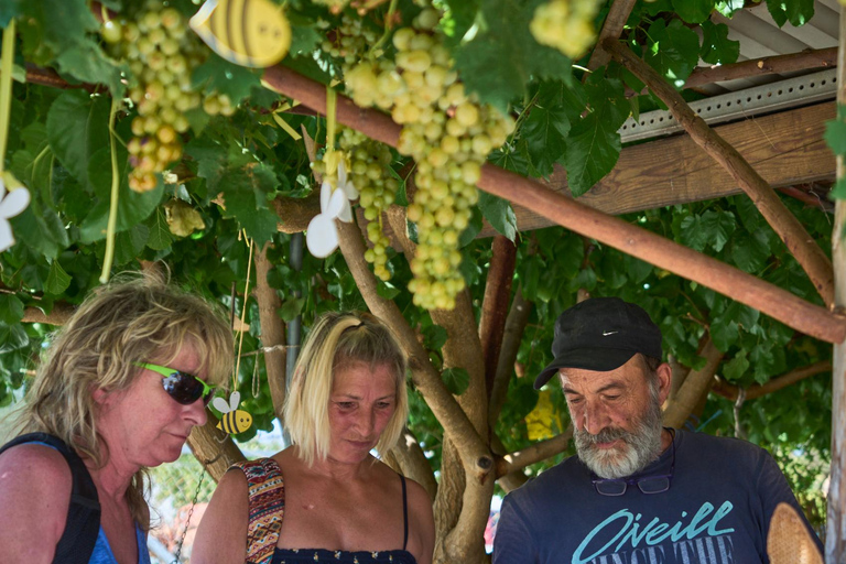 Private 4-5-Hour Tour and explore the hidden Gems of Rhodes Private 4-Hour Tour and explore the hidden Gems of Rhodes