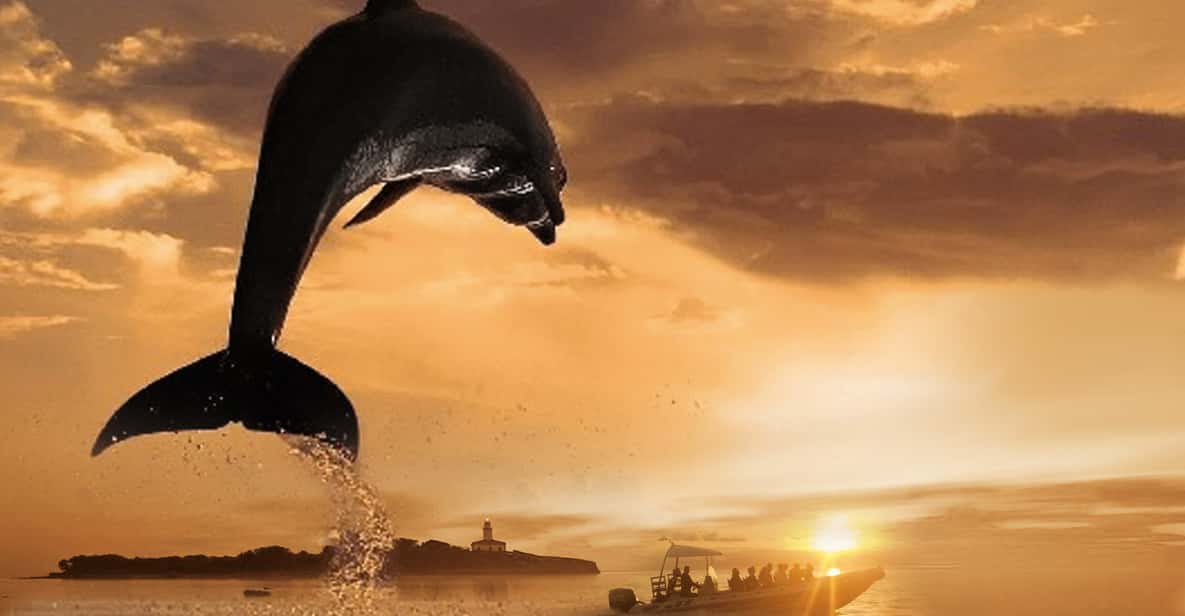 Alcudia: 3-Hour Coast & Dolphins Small Group Cruise