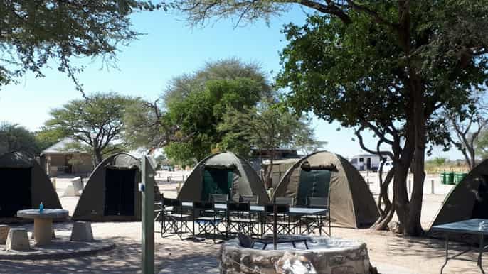 from swakopmund 3day etosha national park safari tour