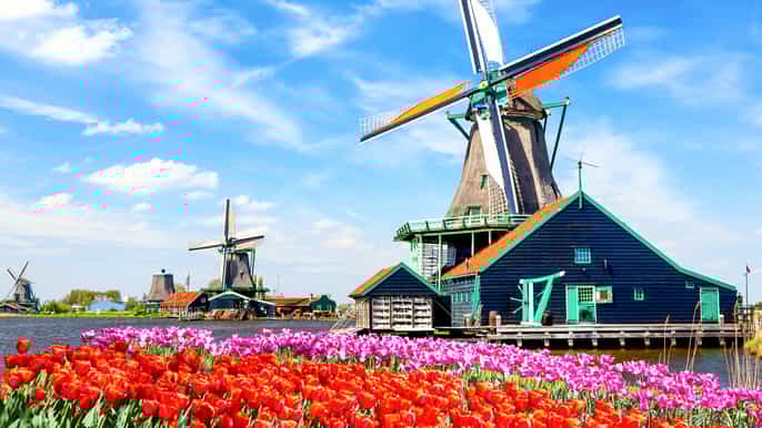 amsterdam volendam edam zaanse schans windmills tour