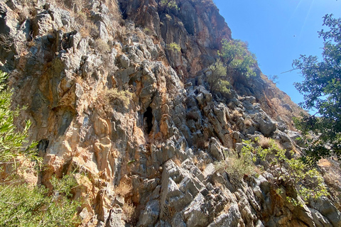 Creta: Tour guiado de senderismo por el Cañón de Kritsa