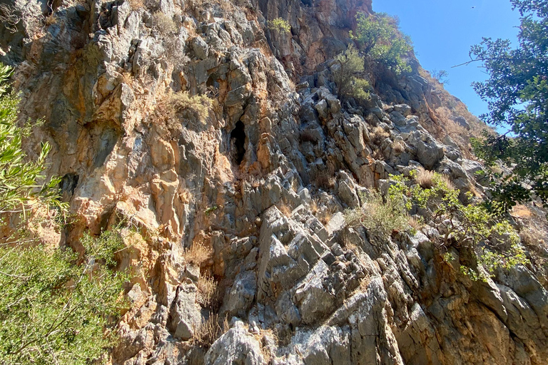 Creta: Tour guiado de senderismo por el Cañón de Kritsa