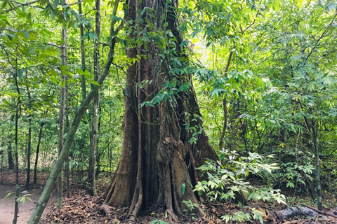 Krabi: viagem de meio dia à piscina esmeralda e cachoeira de fontes termais