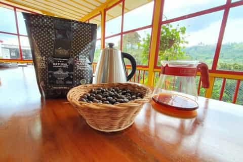 Salento: Coffee Farm Tour with Tasting