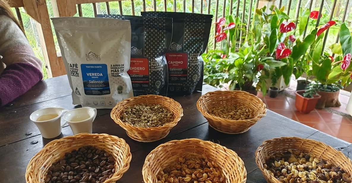Salento: café na fazenda com degustação