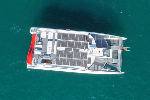 Eco Fast Ferry Mini-Cruise and Snorkel in Lobos Island