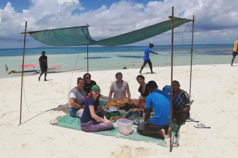 Zanzibar: Ethical Dolphin Tour with Island Picnic Zanzibar: Ethical Dolphin Tour and Picnic Lunch