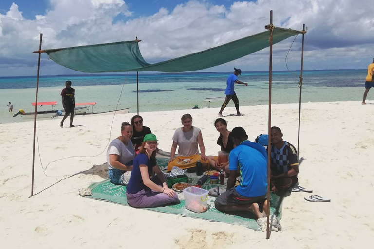 Tour dei delfini con picnic sull&#039;isola