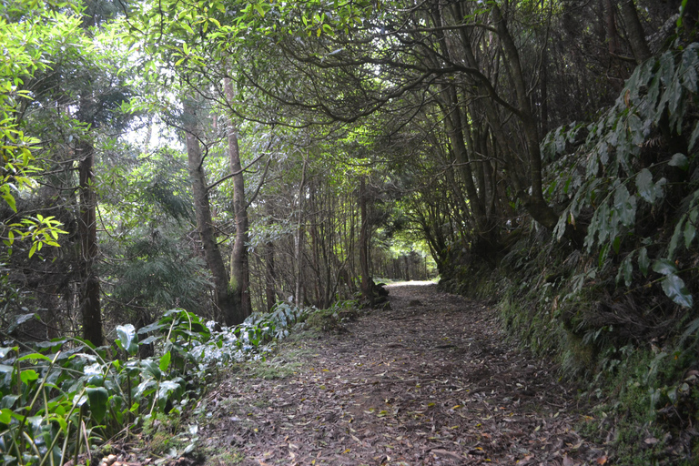 Sao Miguel Hike to Janela do Inferno and Lagoa do Fogo
