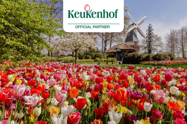 Amsterdam: Keukenhof-Eintritt und Shuttle-Transfer (Hin- und Rückfahrt)