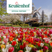 Amsterdam : entrée au Keukenhof et navette avec retour flexible