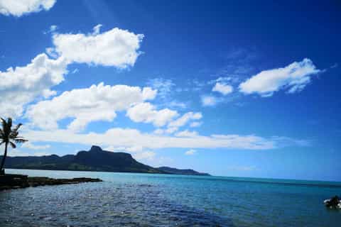 mauritius dolphins and east coast tour with bbq lunch
