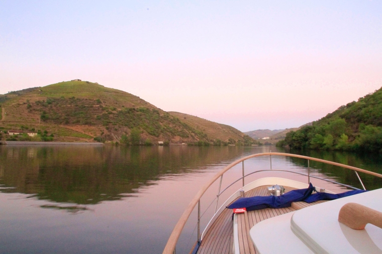 Z Pinhão: prywatny rejs jachtem wzdłuż rzeki Douro1-godzinny rejs
