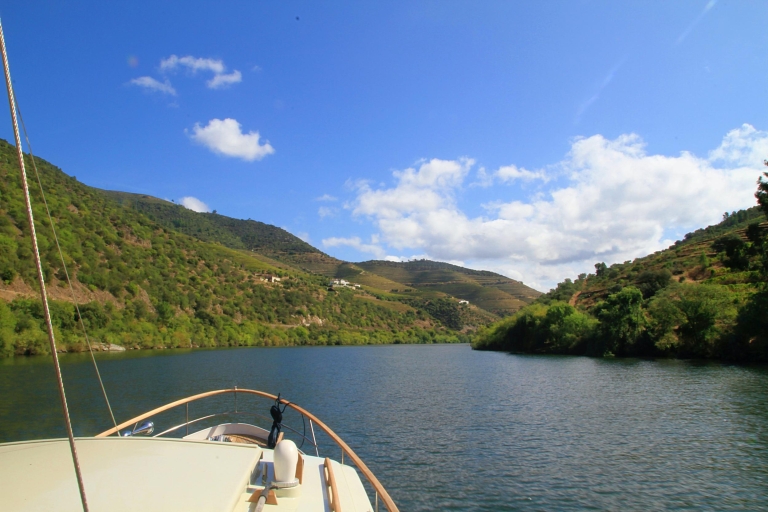 Desde Pinhão: crucero en yate privado por el río DueroCrucero de 1 hora