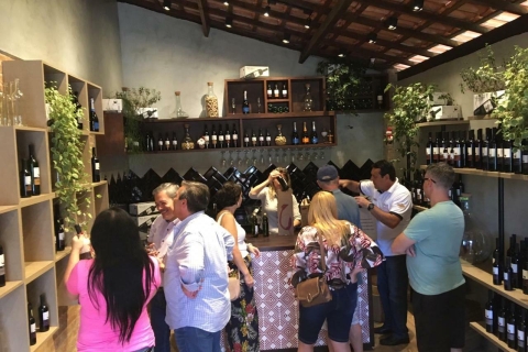From São Paulo: São Roque Wine Route and Shopping Tour Tour with Hotel Pickup