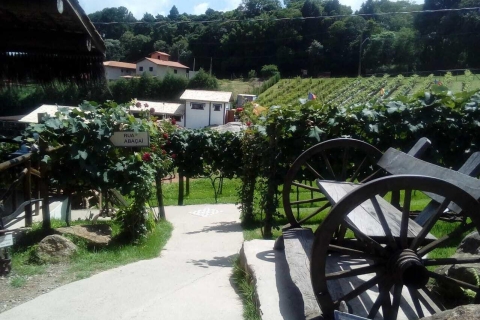 Desde São Paulo: ruta del vino de São Roque y tour de comprasTour con recogida en el hotel