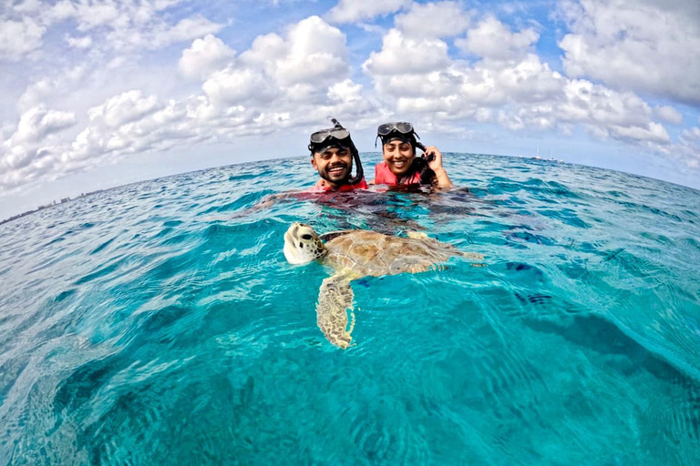 Private Turtle Snorkel Tour in Aruba + Professional video