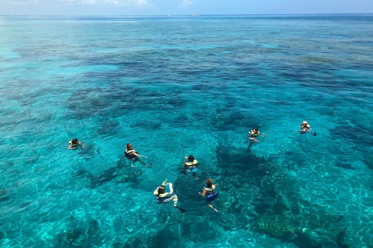 Key West: dolfijnen kijken en snorkelen