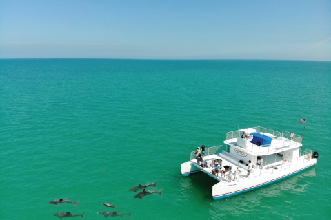 Key West: Dolphin Watching & Snorkeling