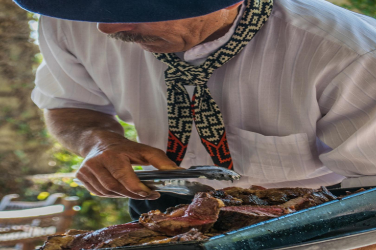 从布宜诺斯艾利斯出发：埃尔翁布德阿雷科（含接送服务）从布宜诺斯艾利斯出发：阿雷科的奥姆布树，含接送服务