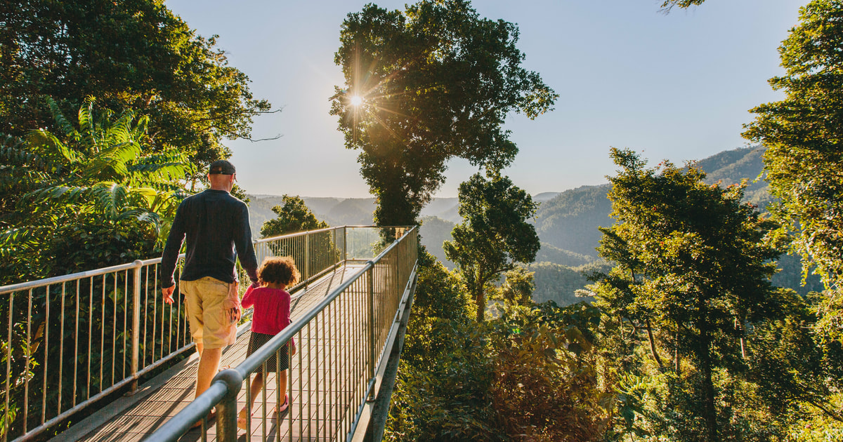 Wooroonooran National Park Mamu Tropical Skywalk Eintritt GetYourGuide