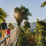 Wooroonooran National Park: Mamu Tropical Skywalk Admission
