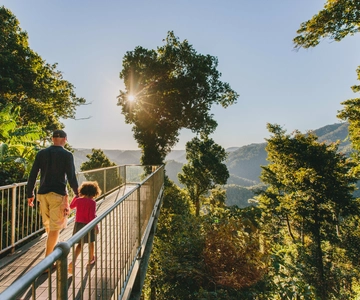 Wooroonooran National Park: Mamu Tropical Skywalk Admission