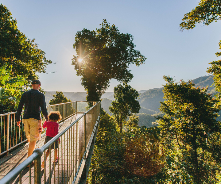 Wooroonooran National Park: Mamu Tropical Skywalk Admission