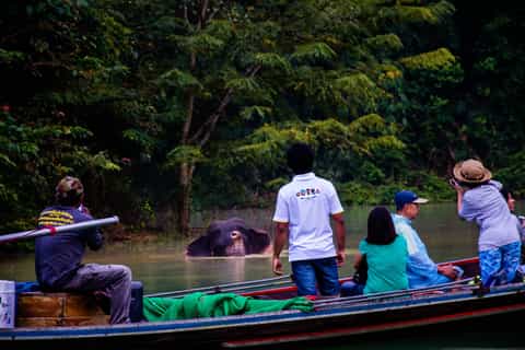Khao Sok: estancia de una noche de lujo en el lago Chiew Larn con comidas
