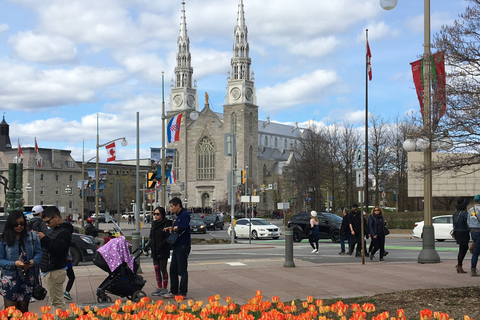 Ab Montreal: Private Tagestour nach Ottawa