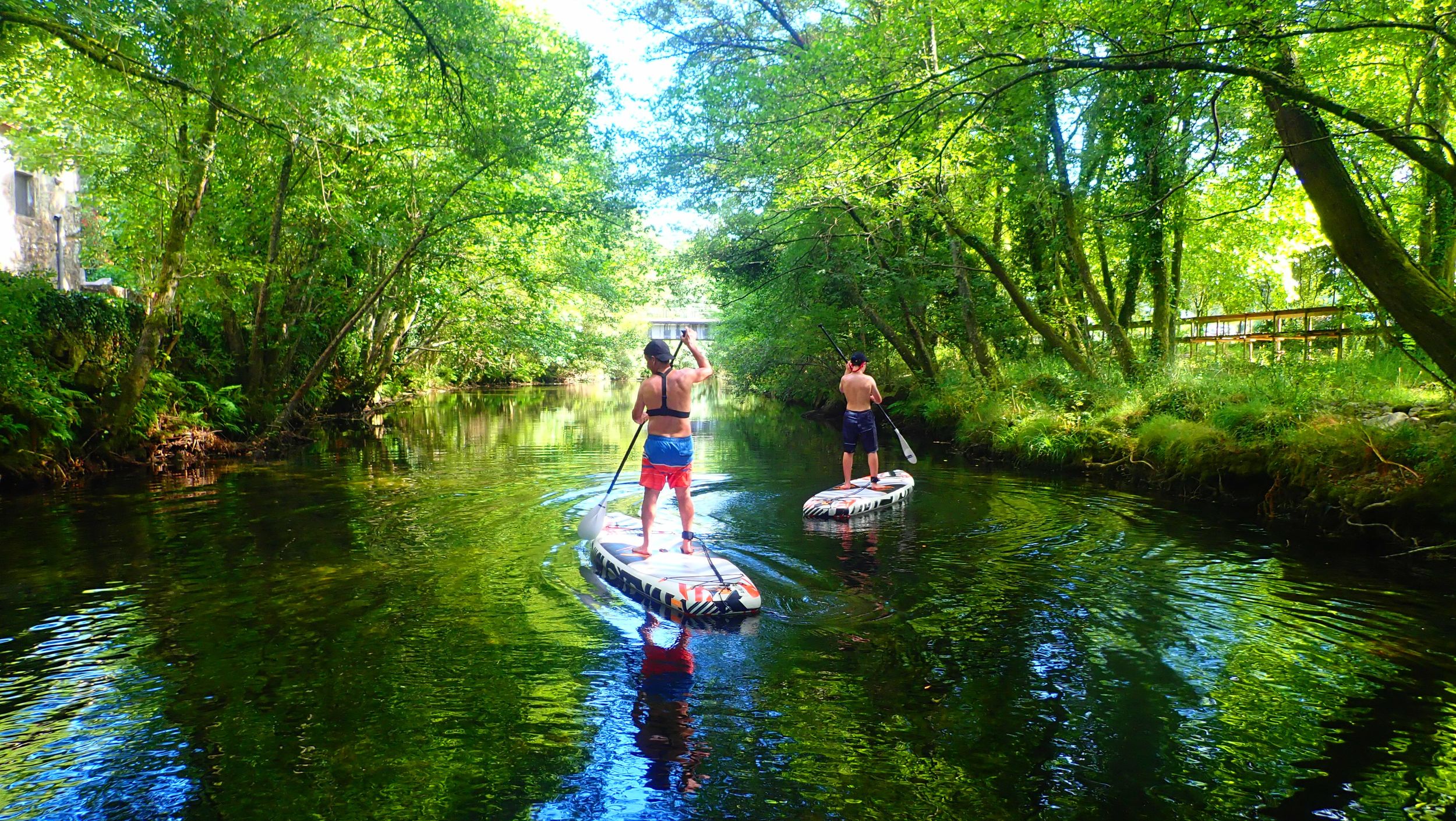 Viana do Castelo: Vez River SUP mit Transferoptionen