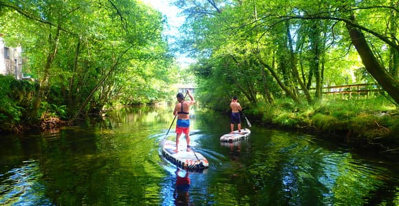 Viana do Castelo: Vez River SUP met overstapmogelijkheden