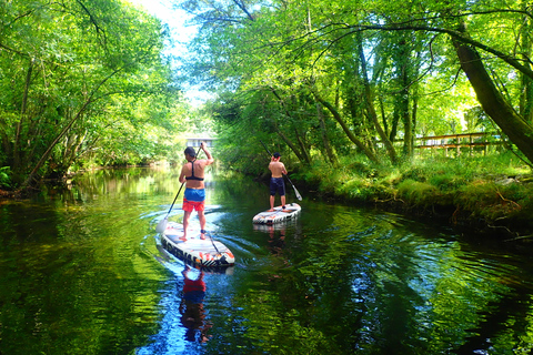 Viana do Castelo: Vez River SUP met transferoptiesSUP-ervaring met transfer vanuit Porto