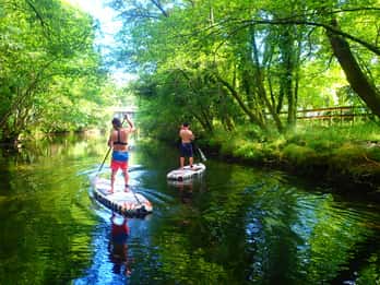 Viana do Castelo: Vez River SUP mit Transferoptionen