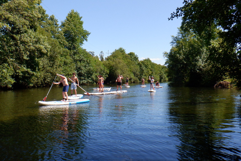 Viana do Castelo: Vez River SUP mit TransferoptionenSUP-Erlebnis ohne Transfer