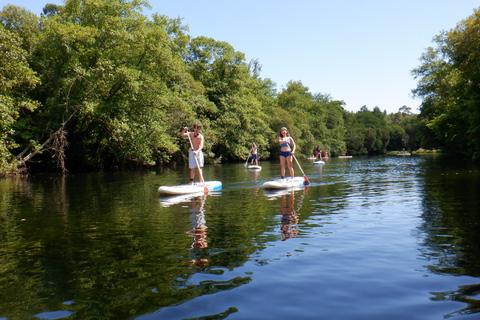 Viana do Castelo: Vez River SUP mit TransferoptionenSUP-Erlebnis ohne Transfer