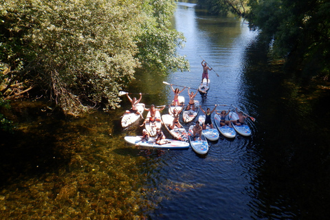 Viana do Castelo: Vez River SUP con opciones de transferenciaExperiencia SUP con traslado desde Oporto