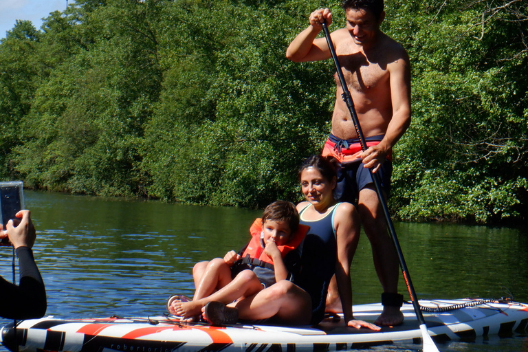 Viana do Castelo: Vez River SUP con opciones de transferenciaExperiencia SUP con traslado desde Oporto